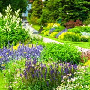 Cambridge Botanic Gardens