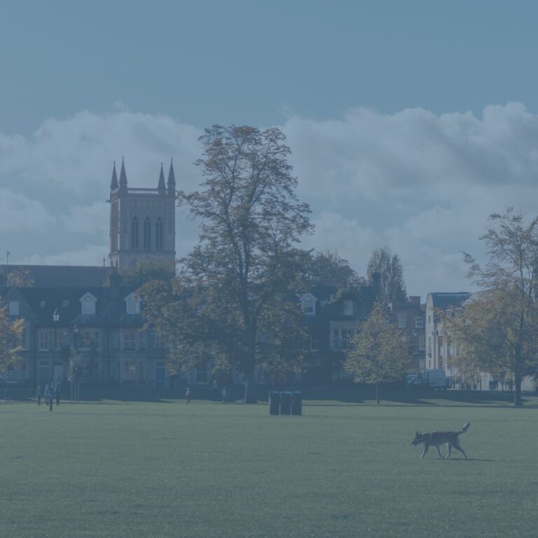 Cambridge Discovery: 4th Semester 
